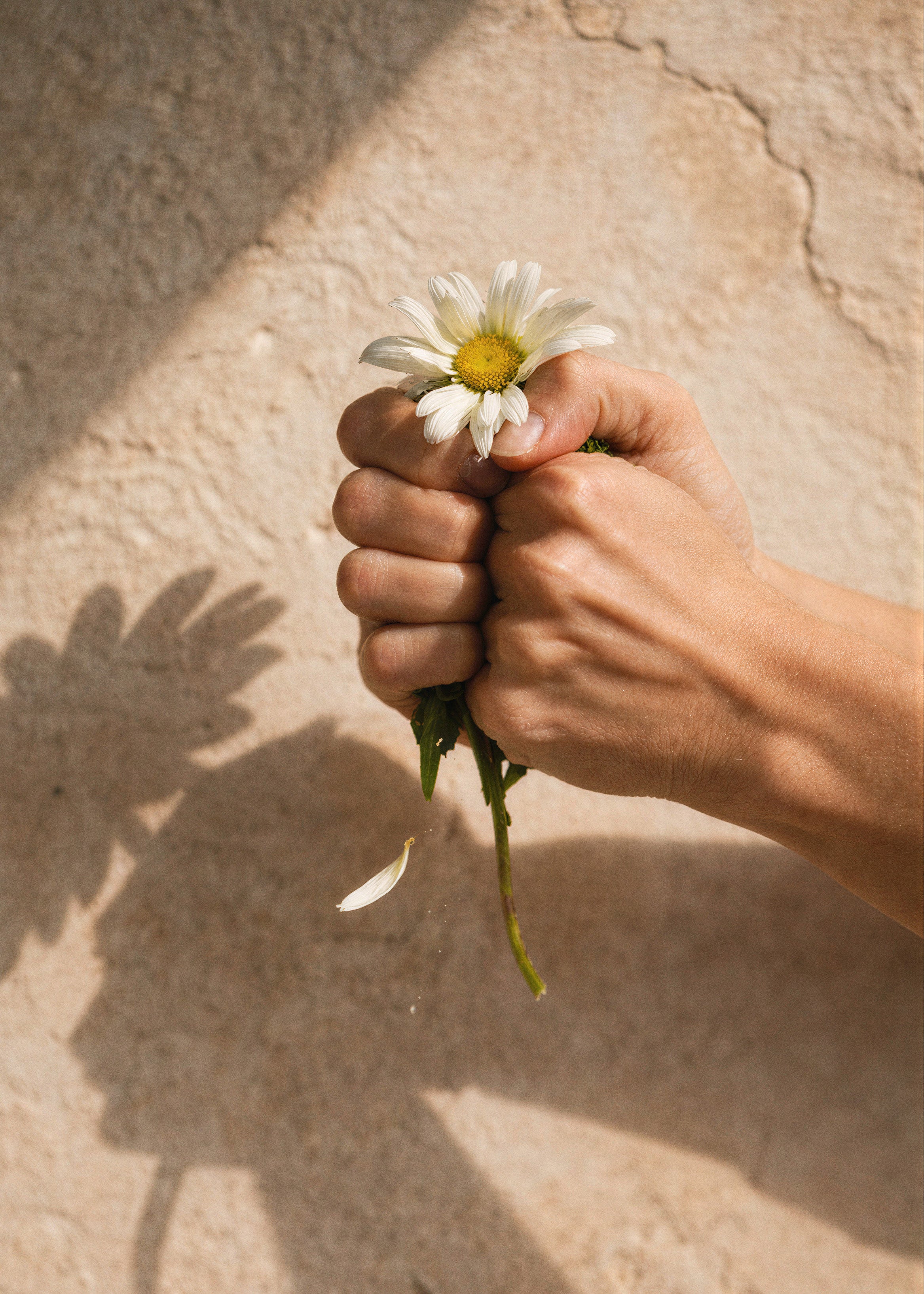 Detalle Flor